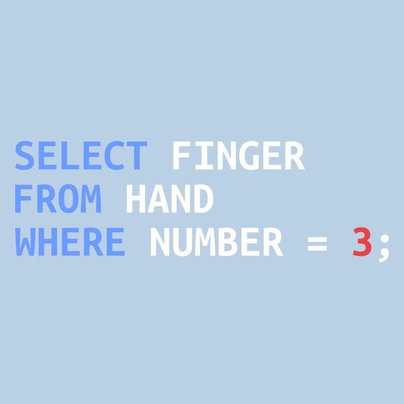 Mittelfinger Select SQL Entwickler Lustig Geschenk