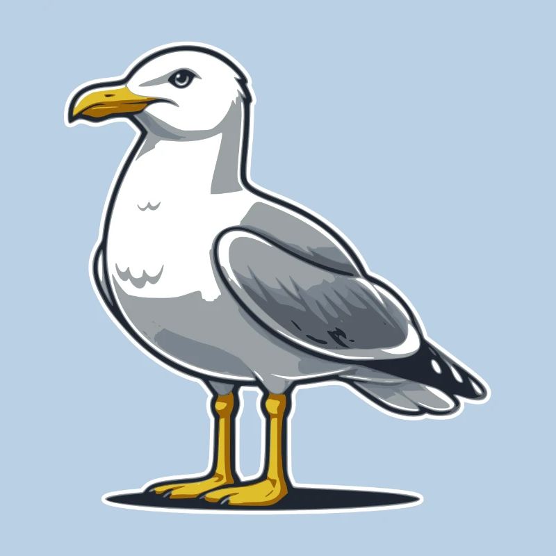 Möwe