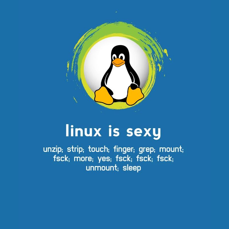 Computer System Penguin Nerd pc inside code admin