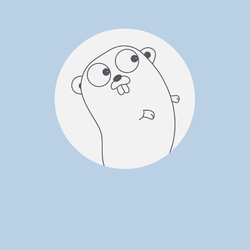 Golang Gopher Programmierer T-Shirt