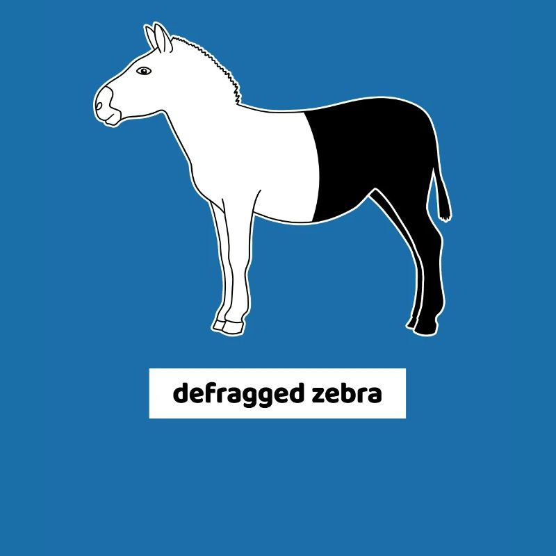 Informatiker Computer Rechner Humor Zebra Defrag