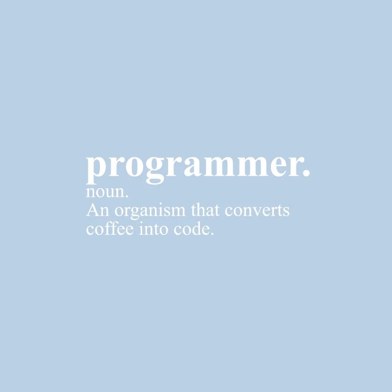 Programmer Definition