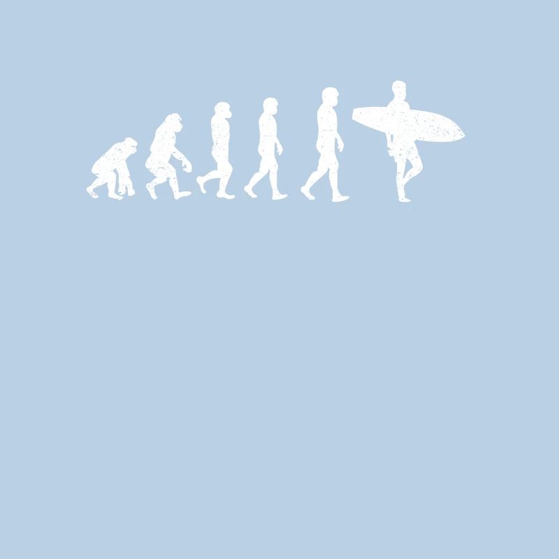 Surfen Evolution