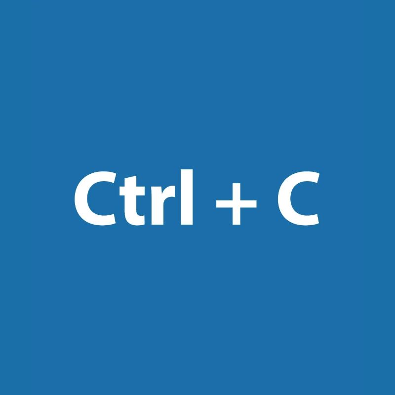 Ctrl C Ctrl V Copy Paste Twins