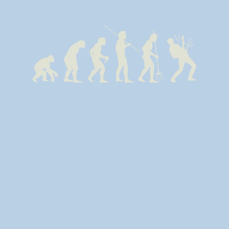 Evolution guitar