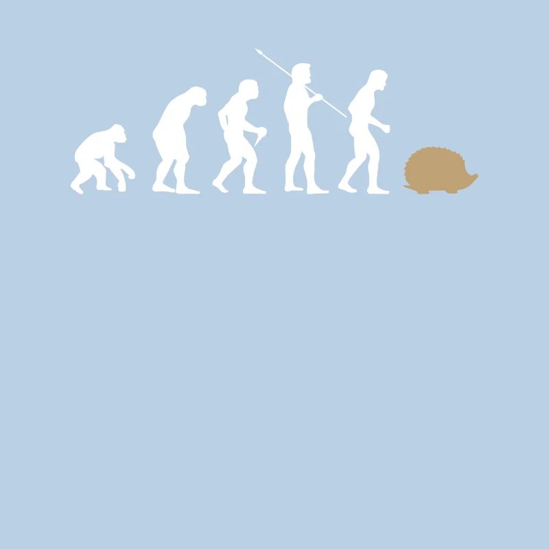 Évolution hérisson