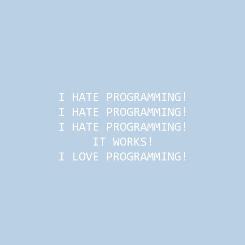 Funny saying Programming Computer Scientist Coder