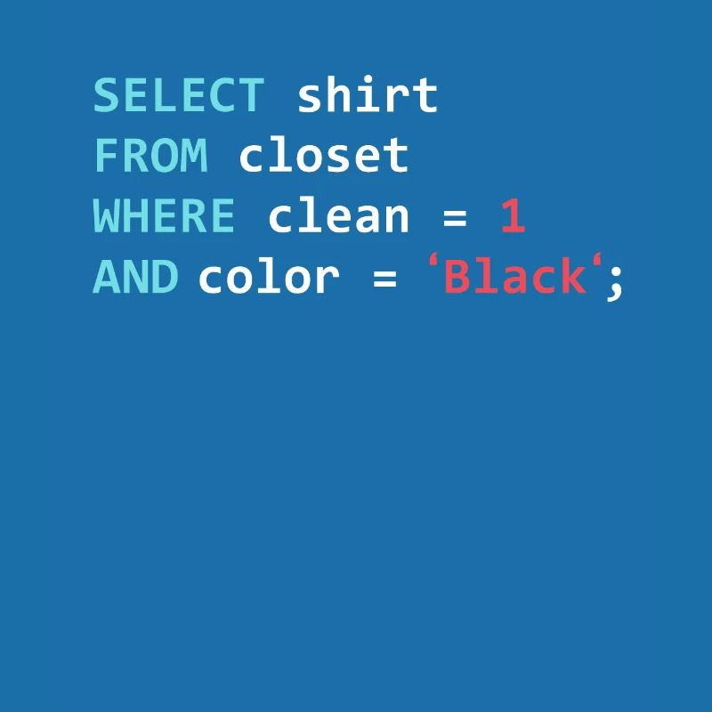 Programmeur Datanbank Funny SQL Query