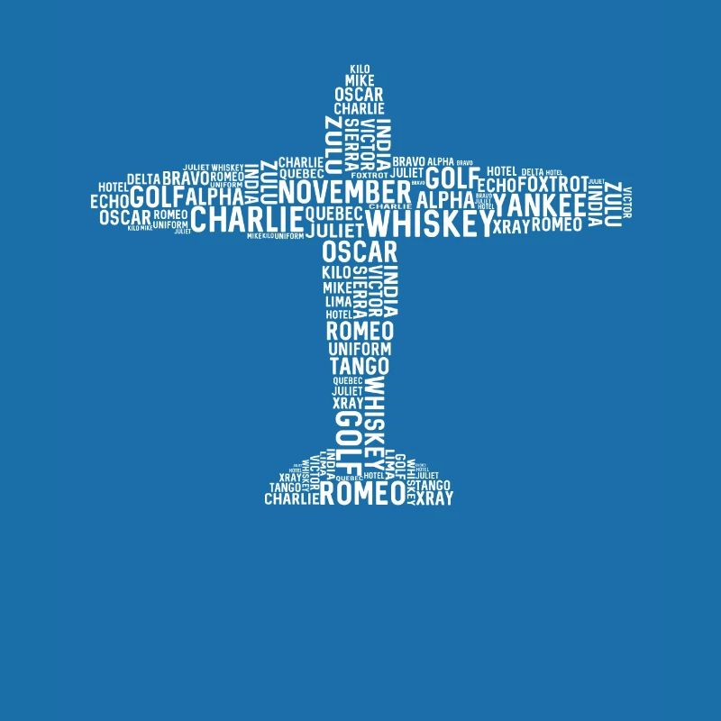 Pilot pilot plane