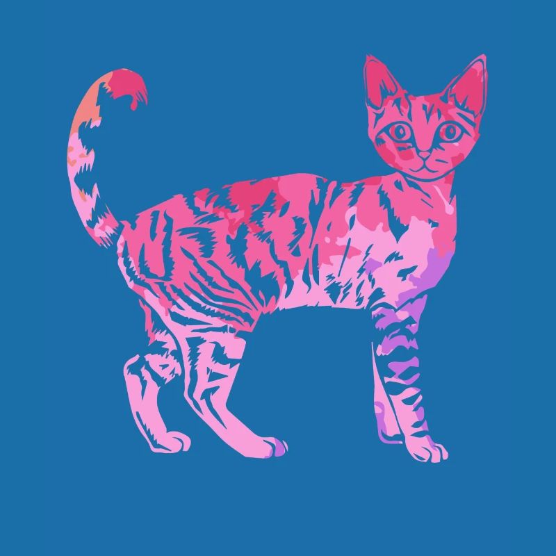 Devon rex cat Devon rex cat Colorful