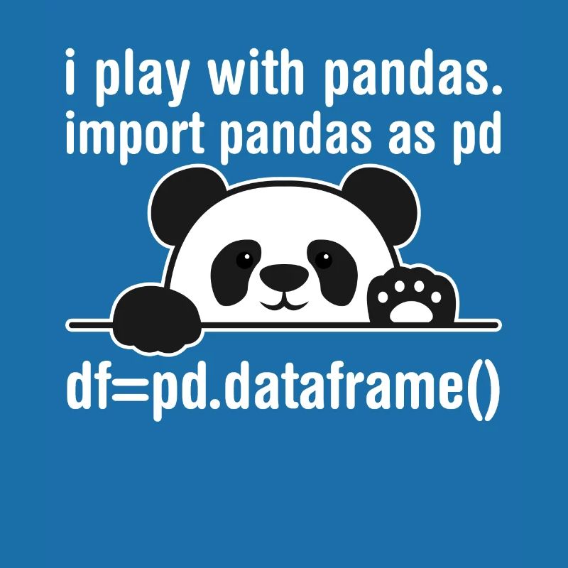 Programmeur Python Programmation panda nerd informatique