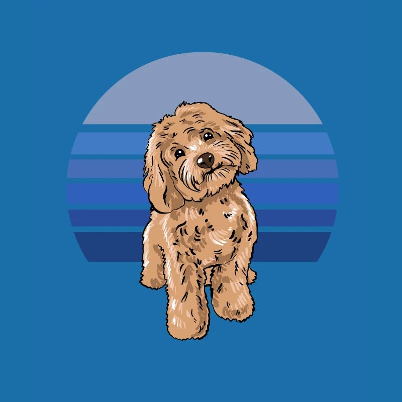 Cockapoo Bleu Rétro