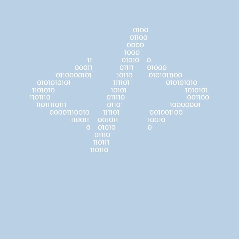 Hacker Hacking Code Computer Java Spruch Geschenk