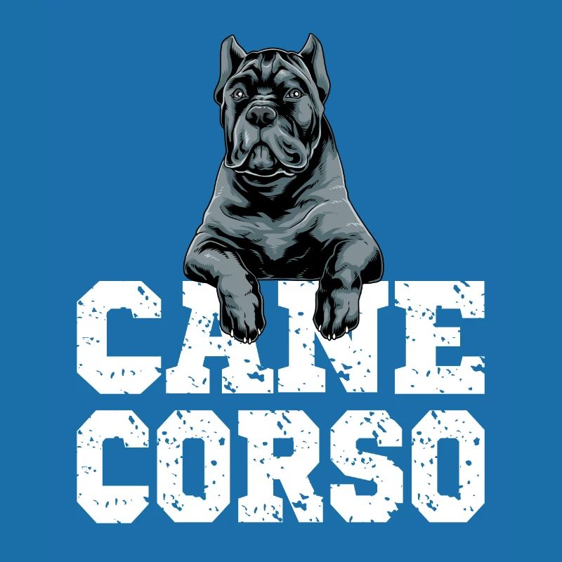 Cane Corso for a Cane Corso owner Cane