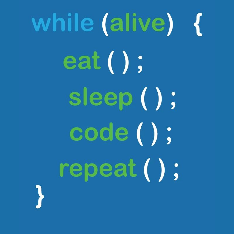 Python Coding Software Developer
