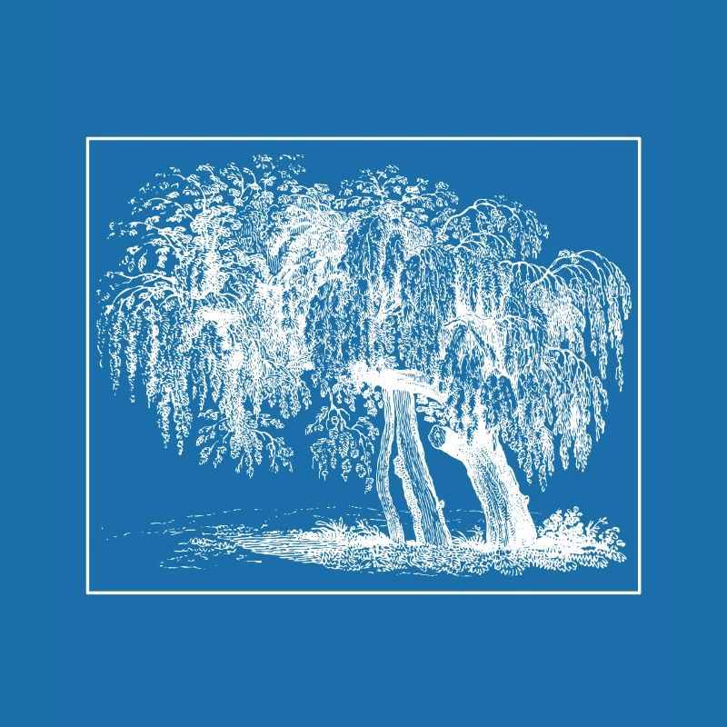 Baum