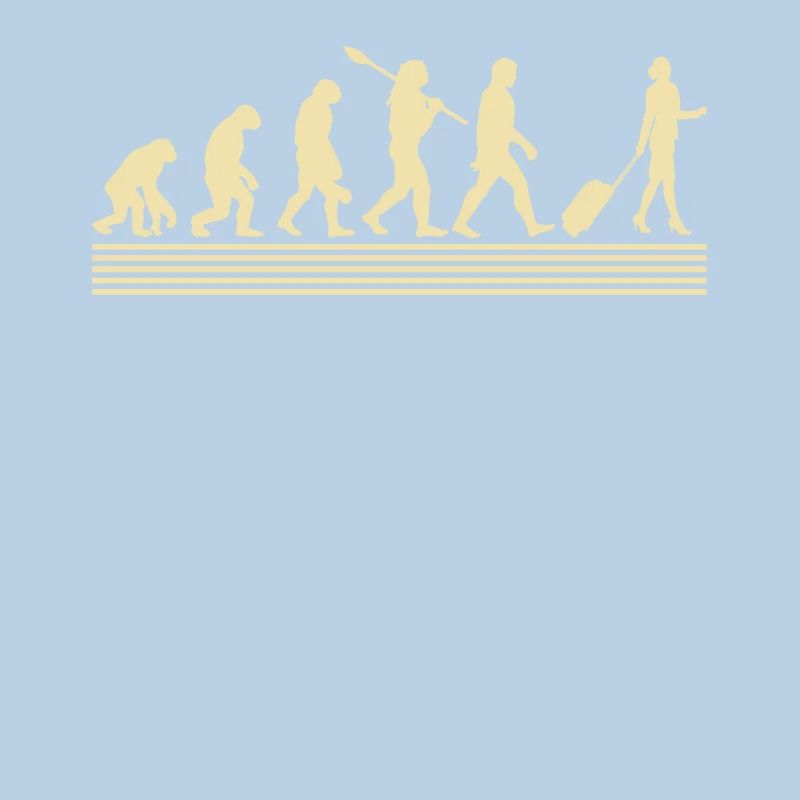 Stewardesses evolution