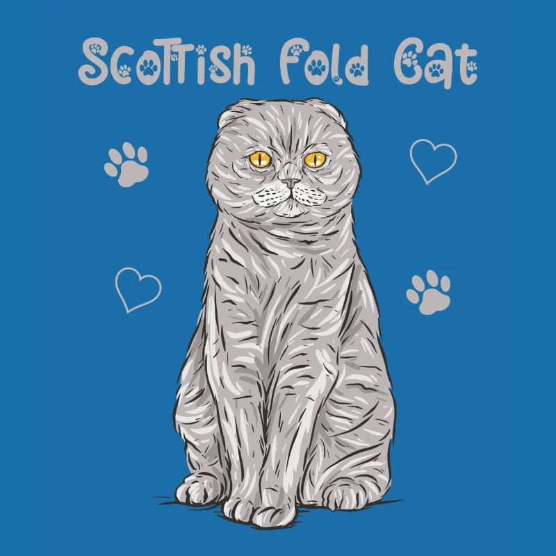 Scottish Folding Ear Cat Scottish Fold Gift