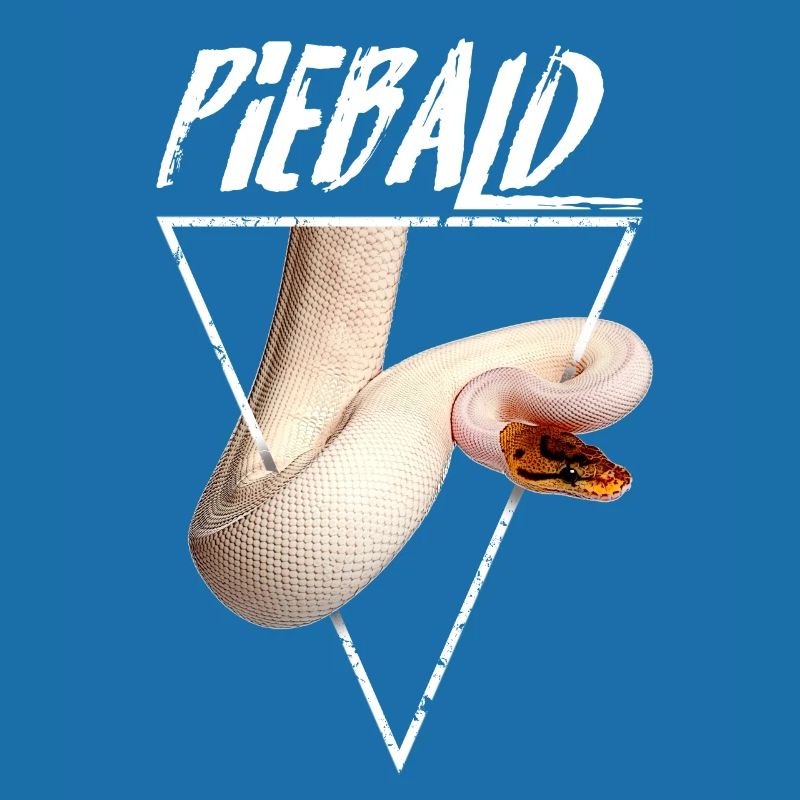Piebald Ball Python Reptilienpfleger