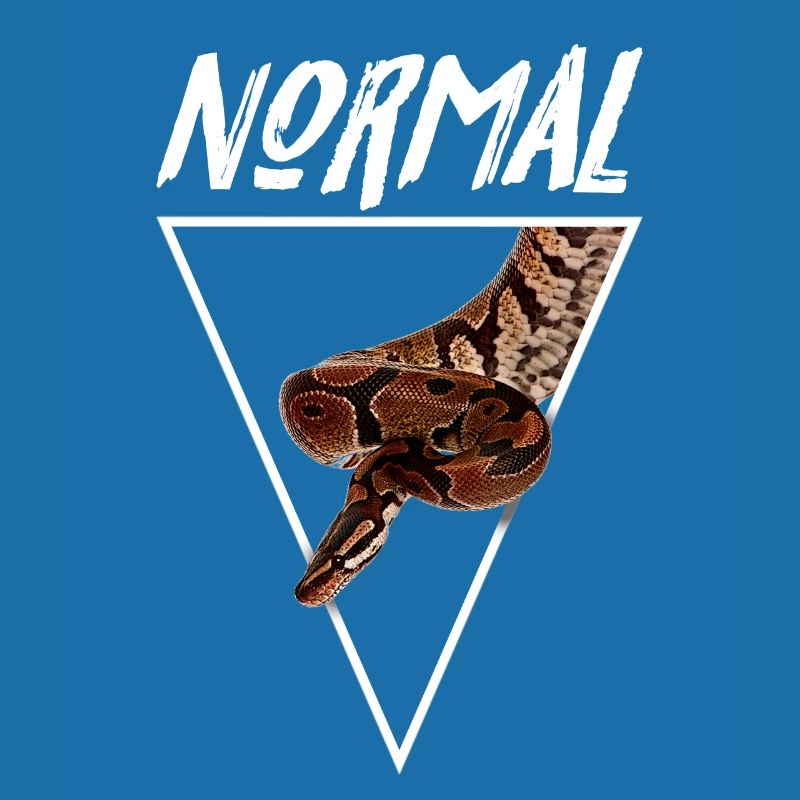 Normaler Ball Python Morph Schlange Besitzer