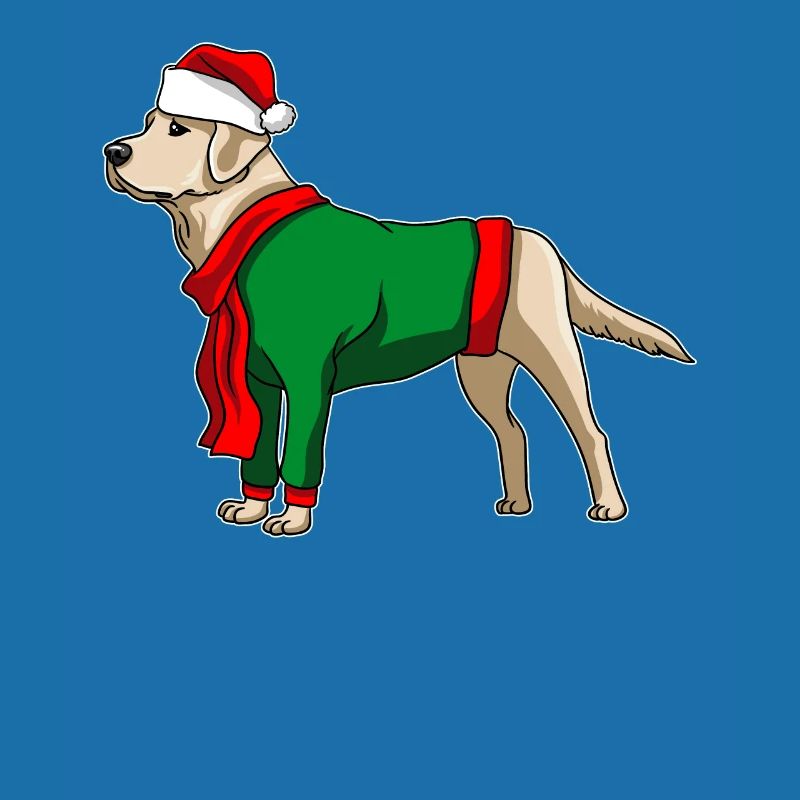 Chien Labrador avec pull de Noël