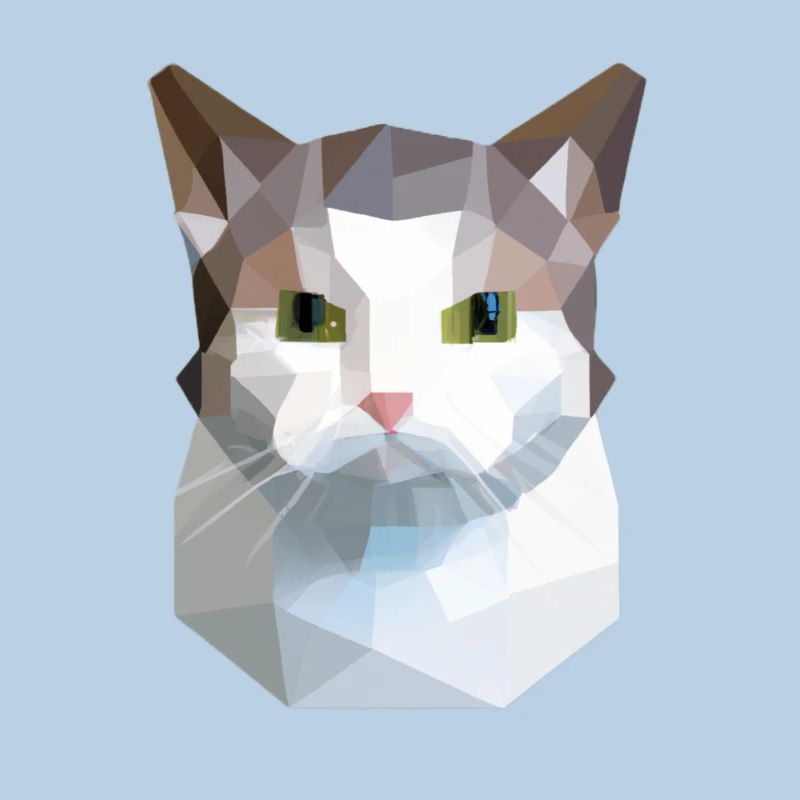 chat mignon bas poly chat blanc gris