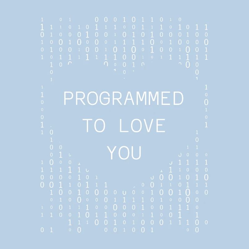 Programmeur Codeur développeur