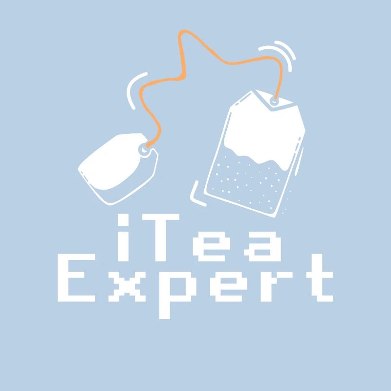 Itea Expert Computer Software Programmer