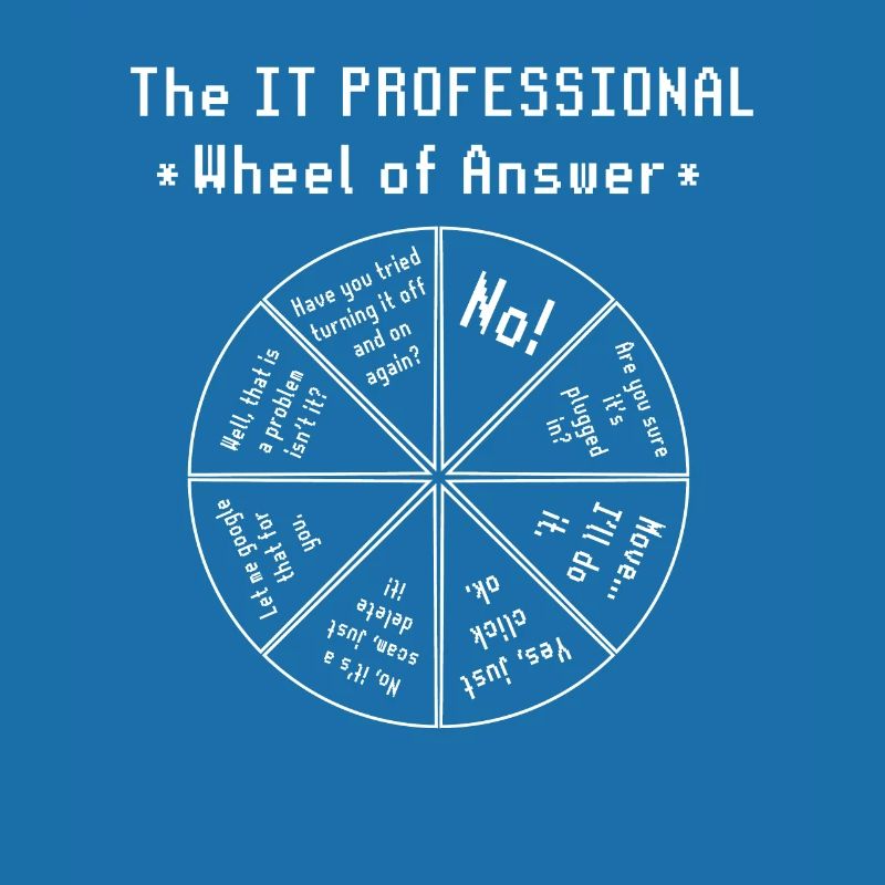 IT Wheel of Fortune Software Programmer