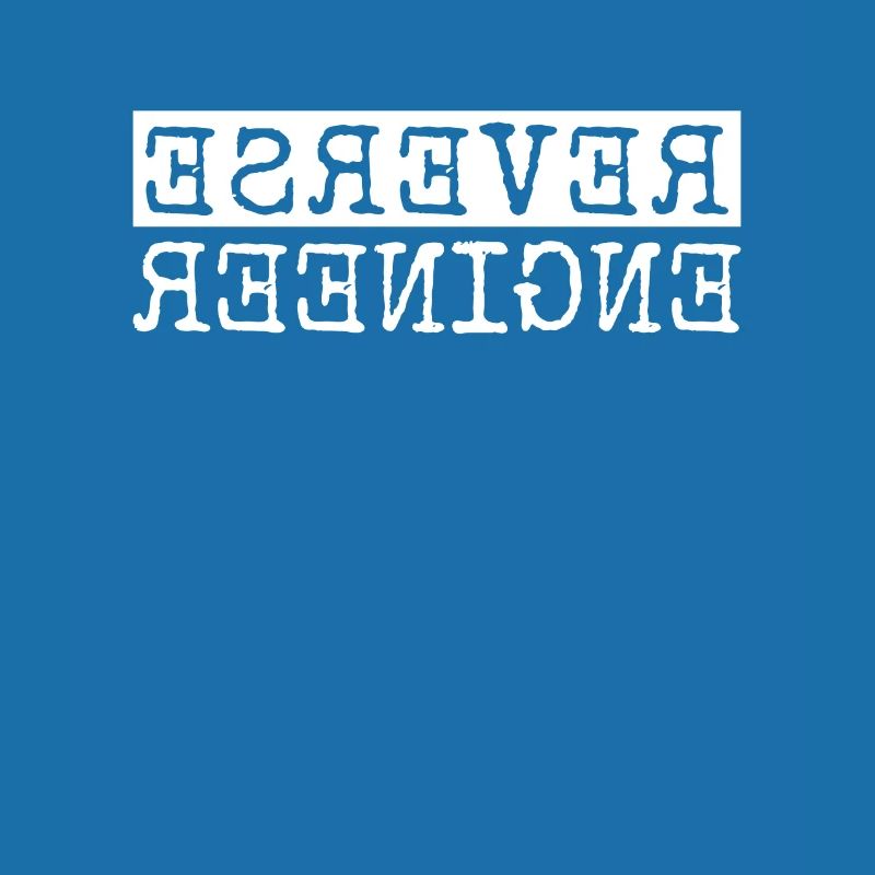 Reverse Engineer Software Engineer Developer