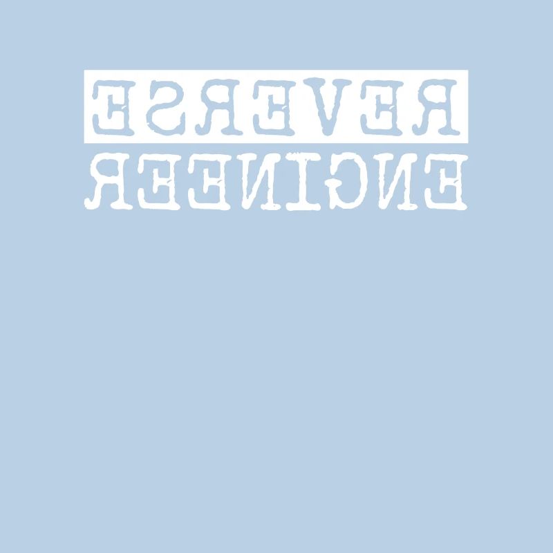 Reverse Engineer Software Engineer Developer