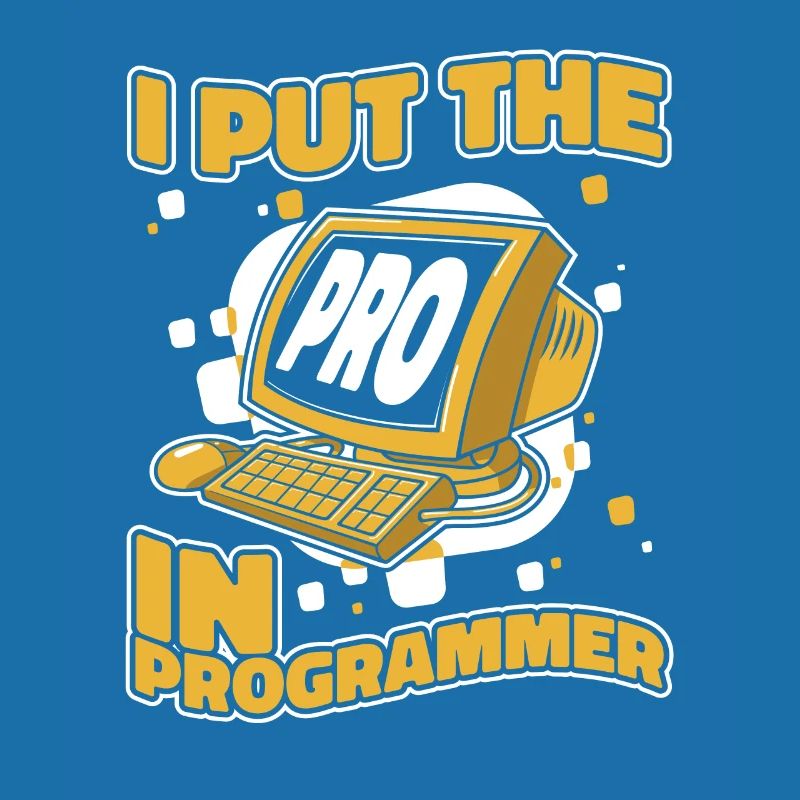 J’ai mis le pro dans Programmeur Developer Coder