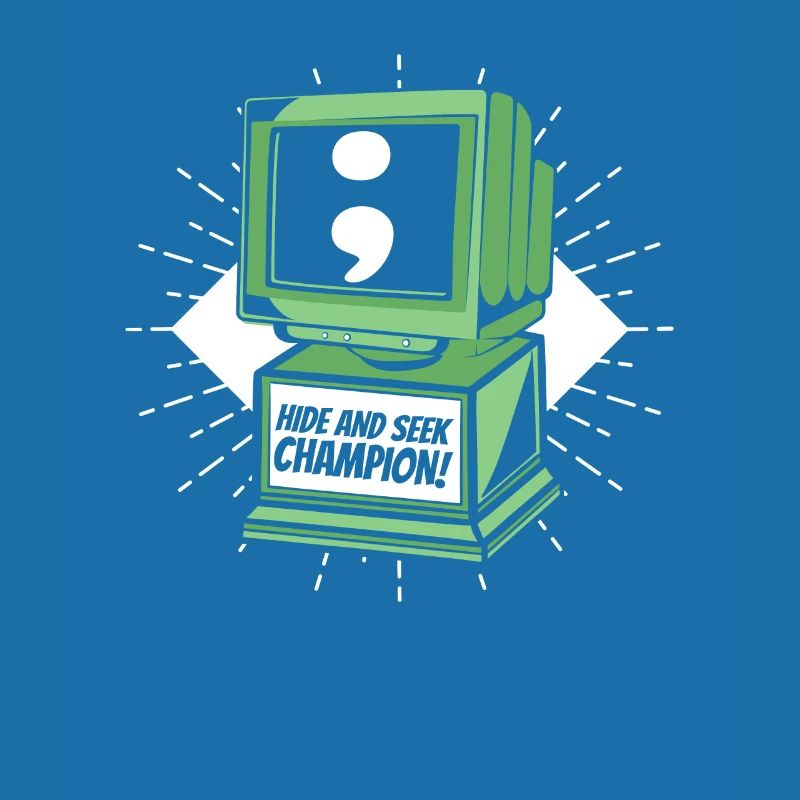 Hide And Seek Champion Softwareingenieur Coder