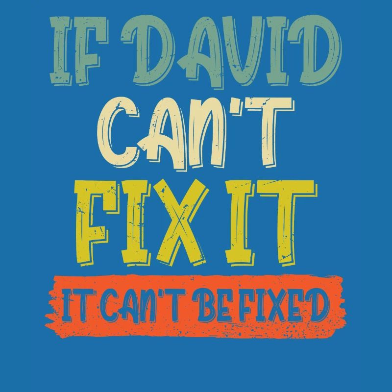 If David Can't Fix It It Can't Be Fixed