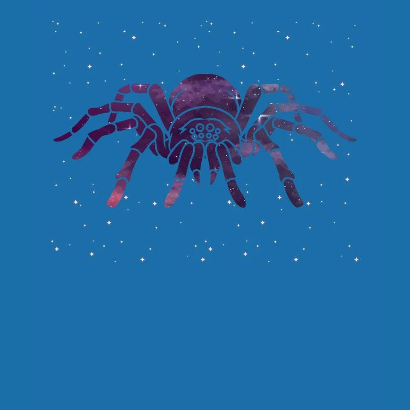 Celestial Spider Star Pattern