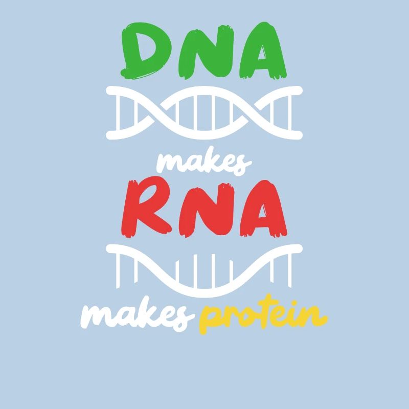 Aus DNA wird RNA wird Protein