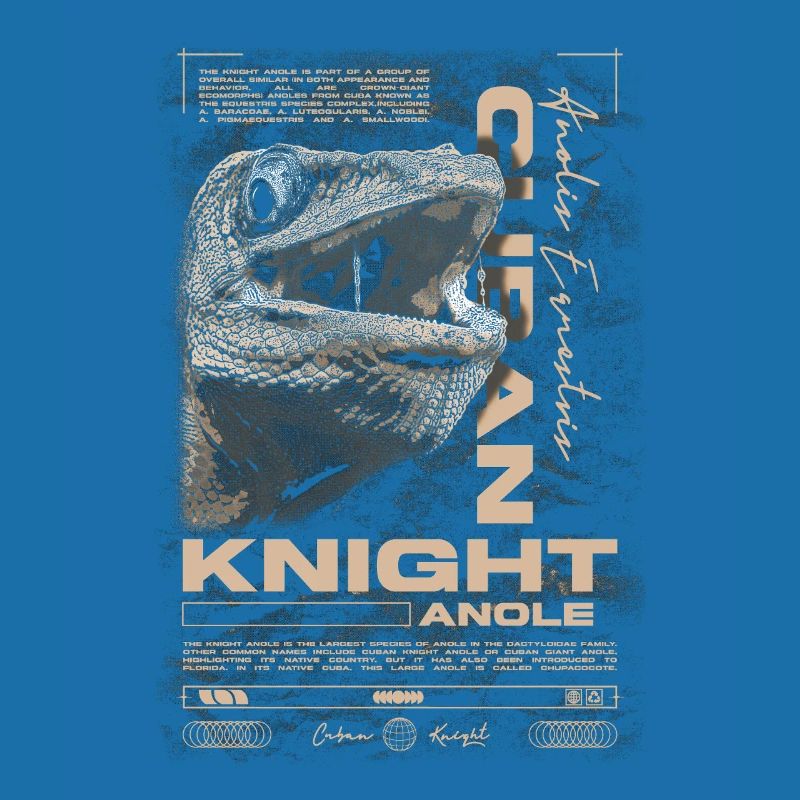 Cuban Knight Anole Reptile Keeper Lizard