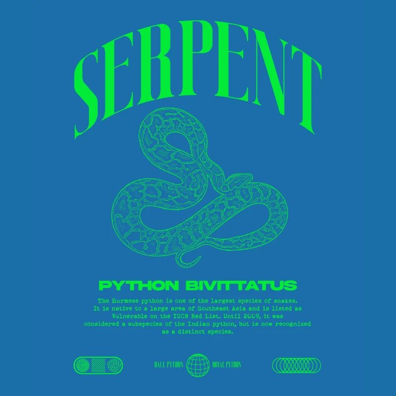 Burmese Python Modern Reptile Keeper Streetwear