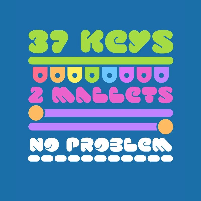 Vibraphone marimba 37 touches 2 maillets pas de problème