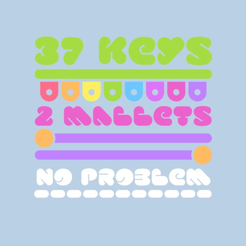 Vibraphon Marimba 37 Keys 2 Mallets No Problem