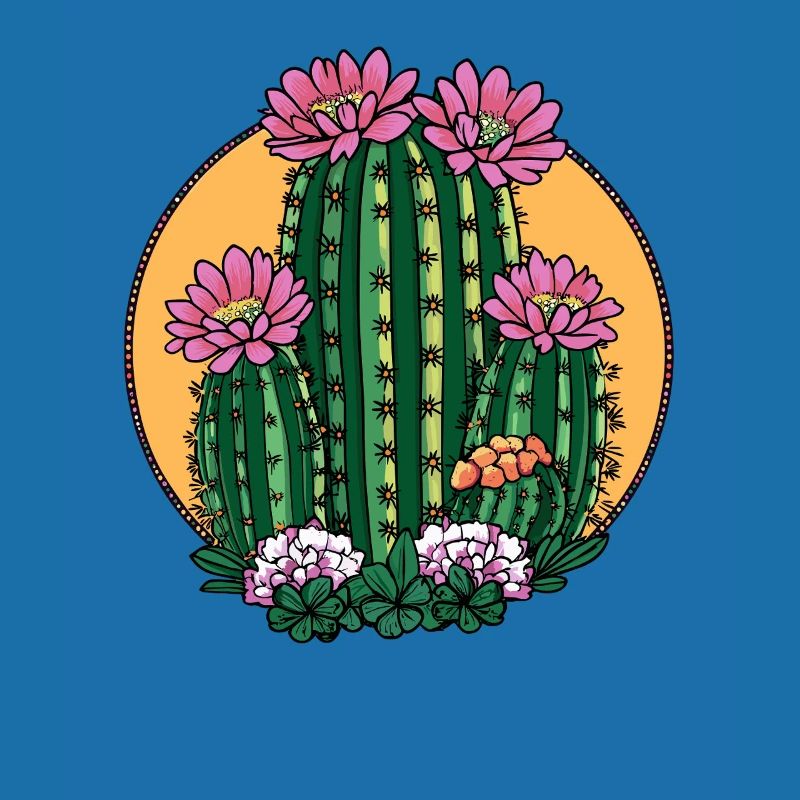 Cactus en fleurs au coucher du soleil