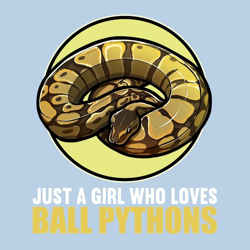 Ball Python Königspythons Königspython