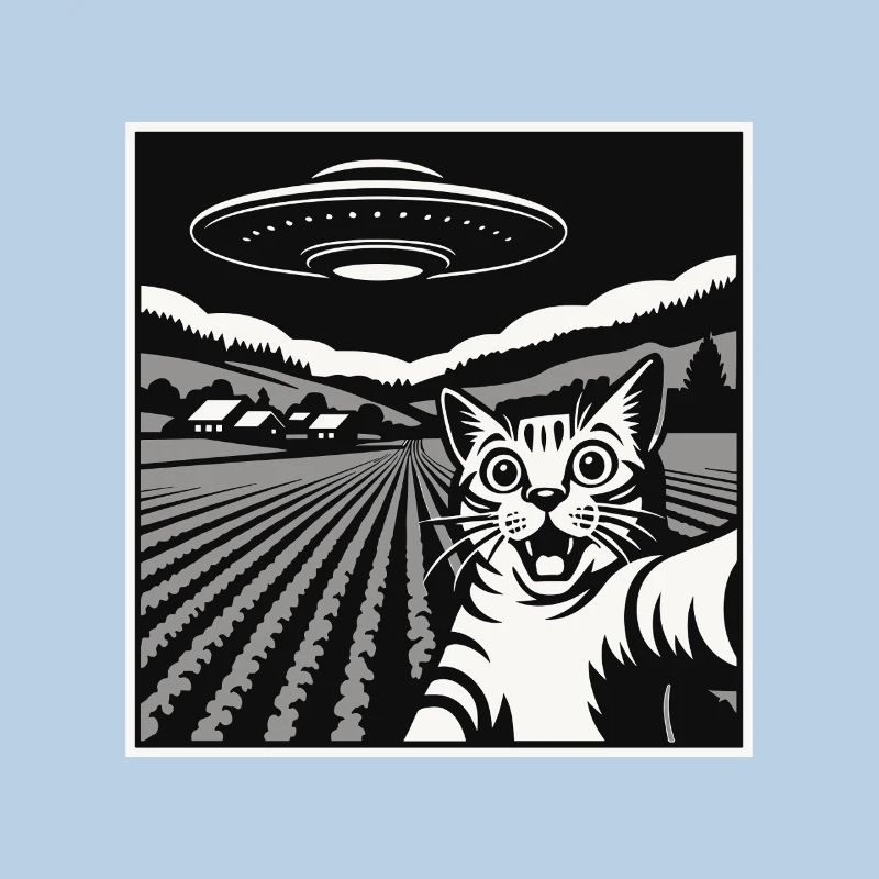 Drôle de chat, machine extraterrestre