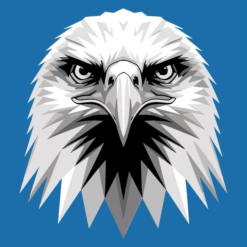 Eagle Bald Eagle Golden Eagle White-tailed Eagle