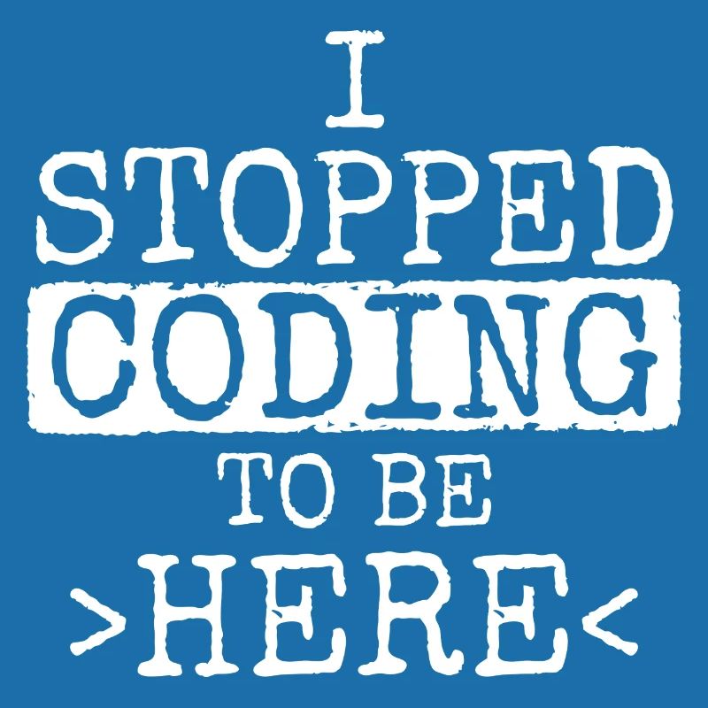 Software Ingenieur Informatiker Programmierer