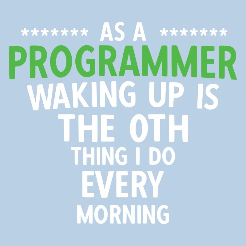 Software Ingenieur Informatiker Programmierer