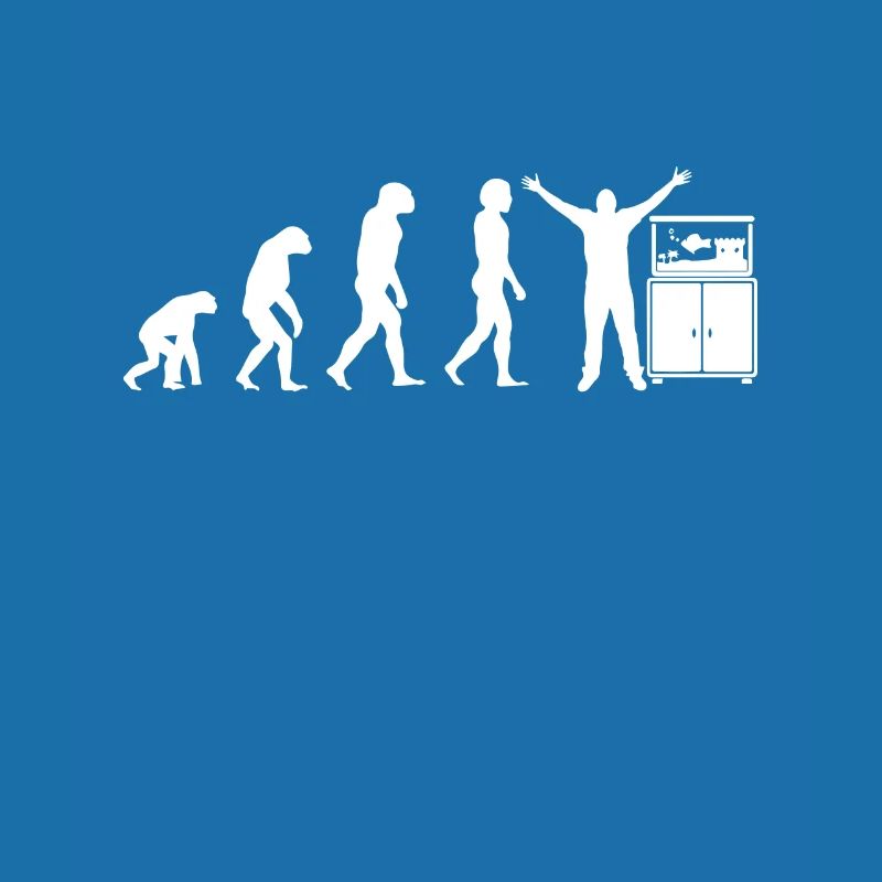 Fish aquarium evolution