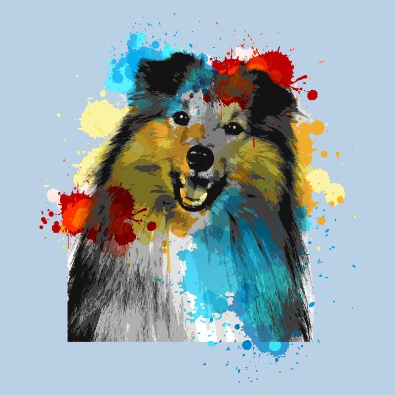 Sheltie couleurs d’eau Coloré