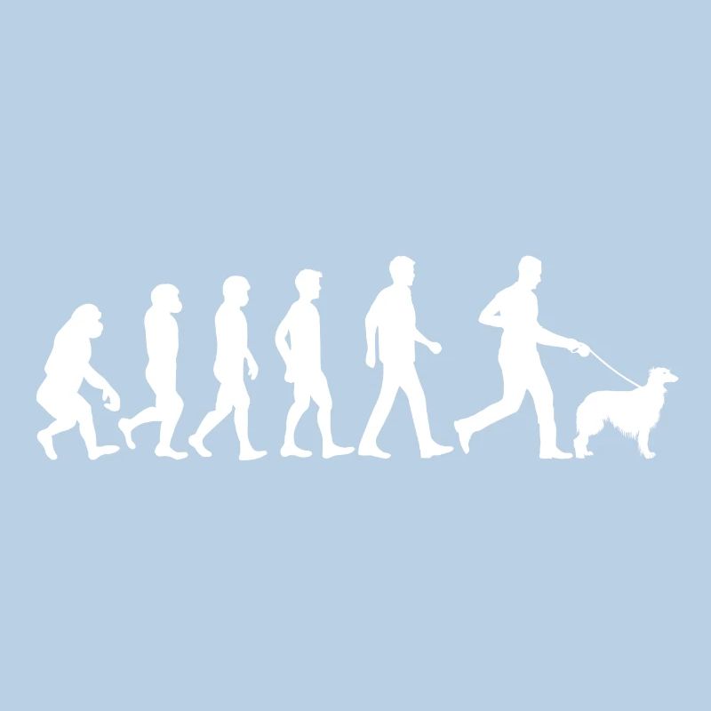 Silken Windhound Hund Evolution Hundebesitzer