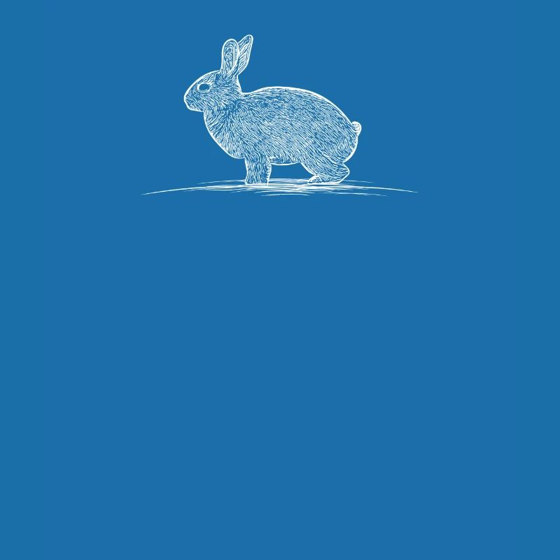 Rabbit Rabbit